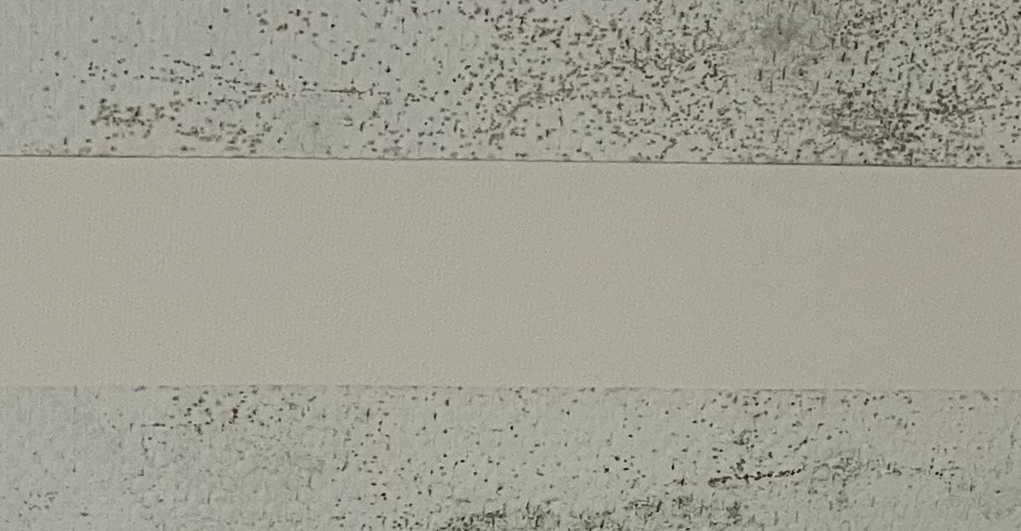 Zoom X2 sur le ruban AirSponge