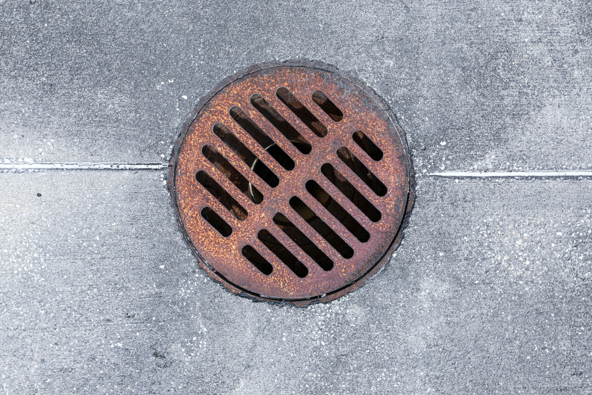 Professional Solutions for Severe Sewer Line Problems