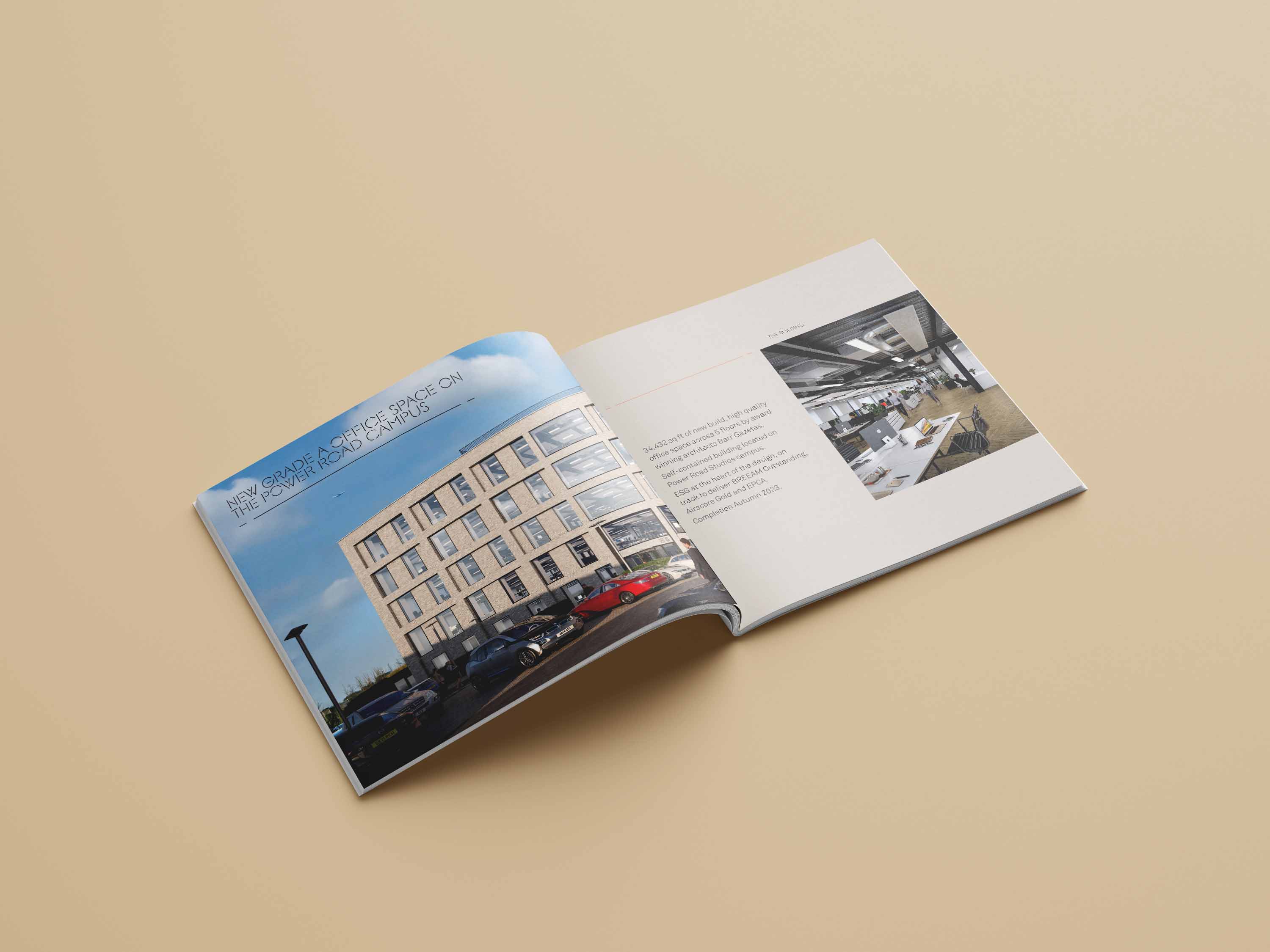 Property & Real Estate