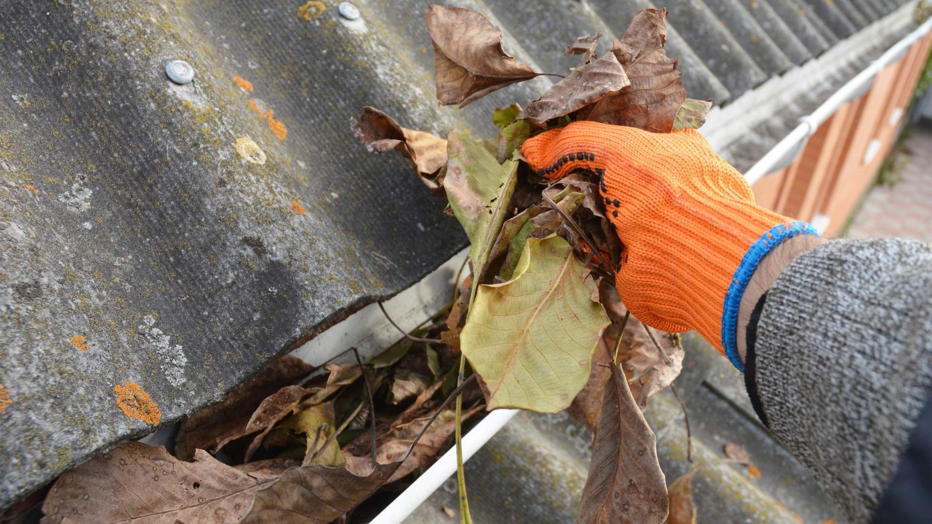 Hand haalt blad uit dakgoot