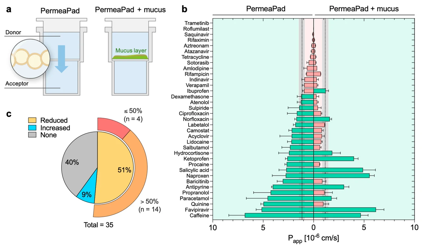 Figure from the permeability paper: apparent permeability of drugs through PermeaPad with and without a mucus layer