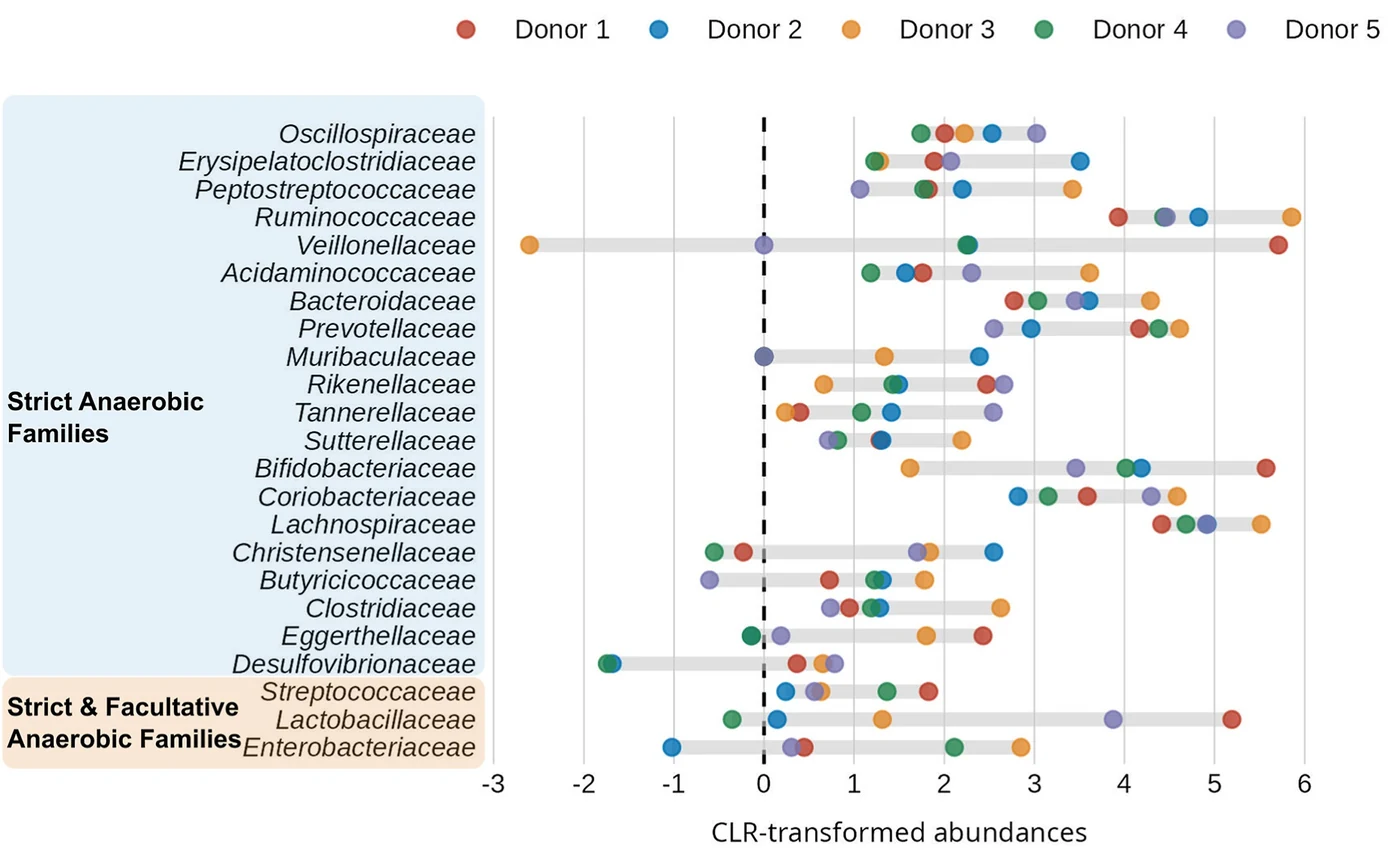 Figure from the Gut³Gel paper: abundances of strict and facultative anaerobic bacterial families across donors
