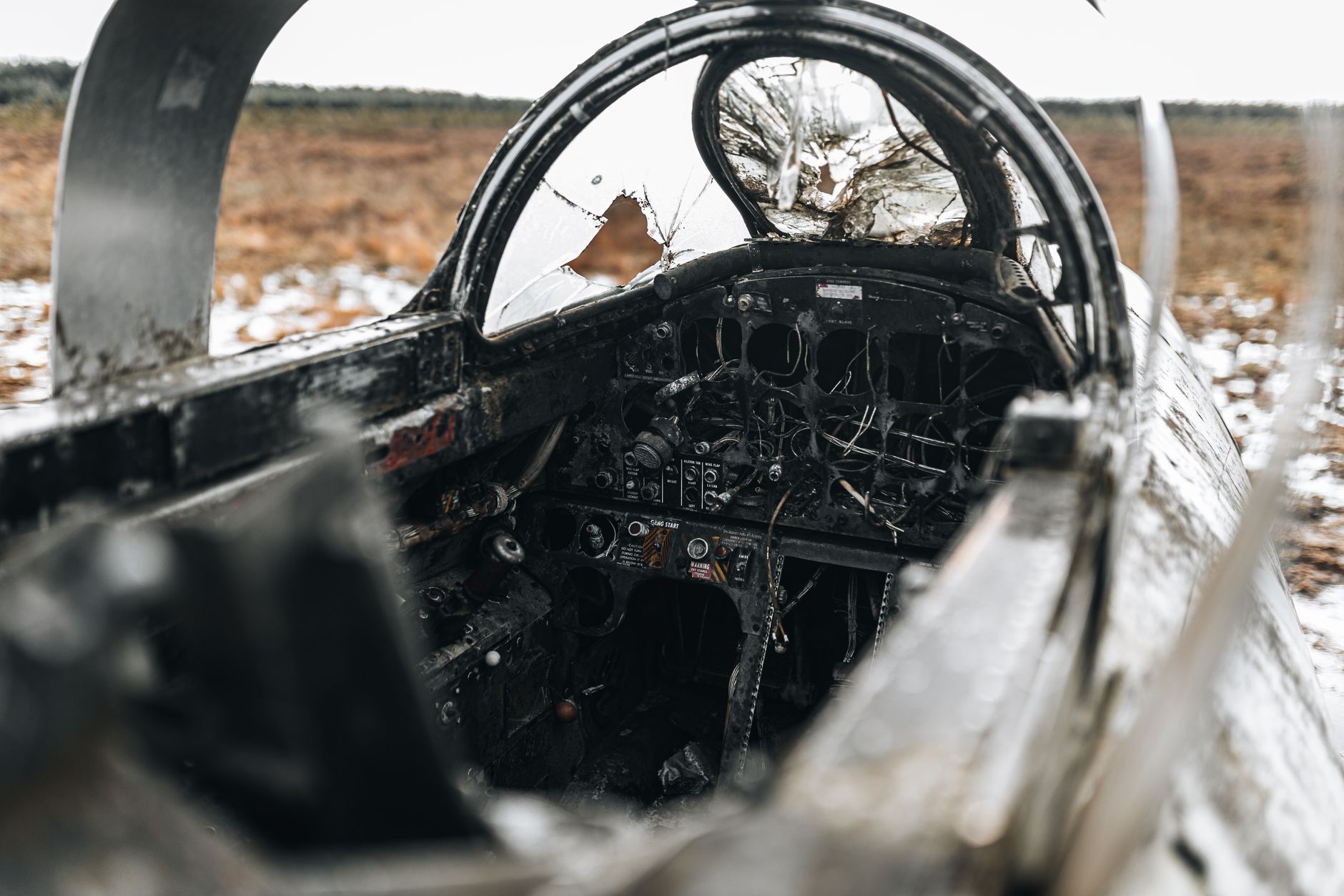 Photo by urtimud.89 on Pexels