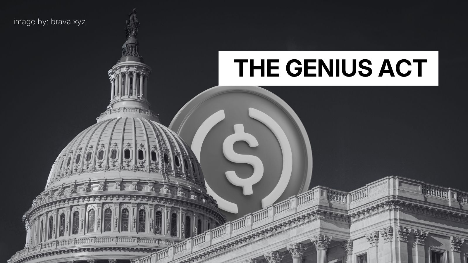 The GENIUS Act | brava.xyz