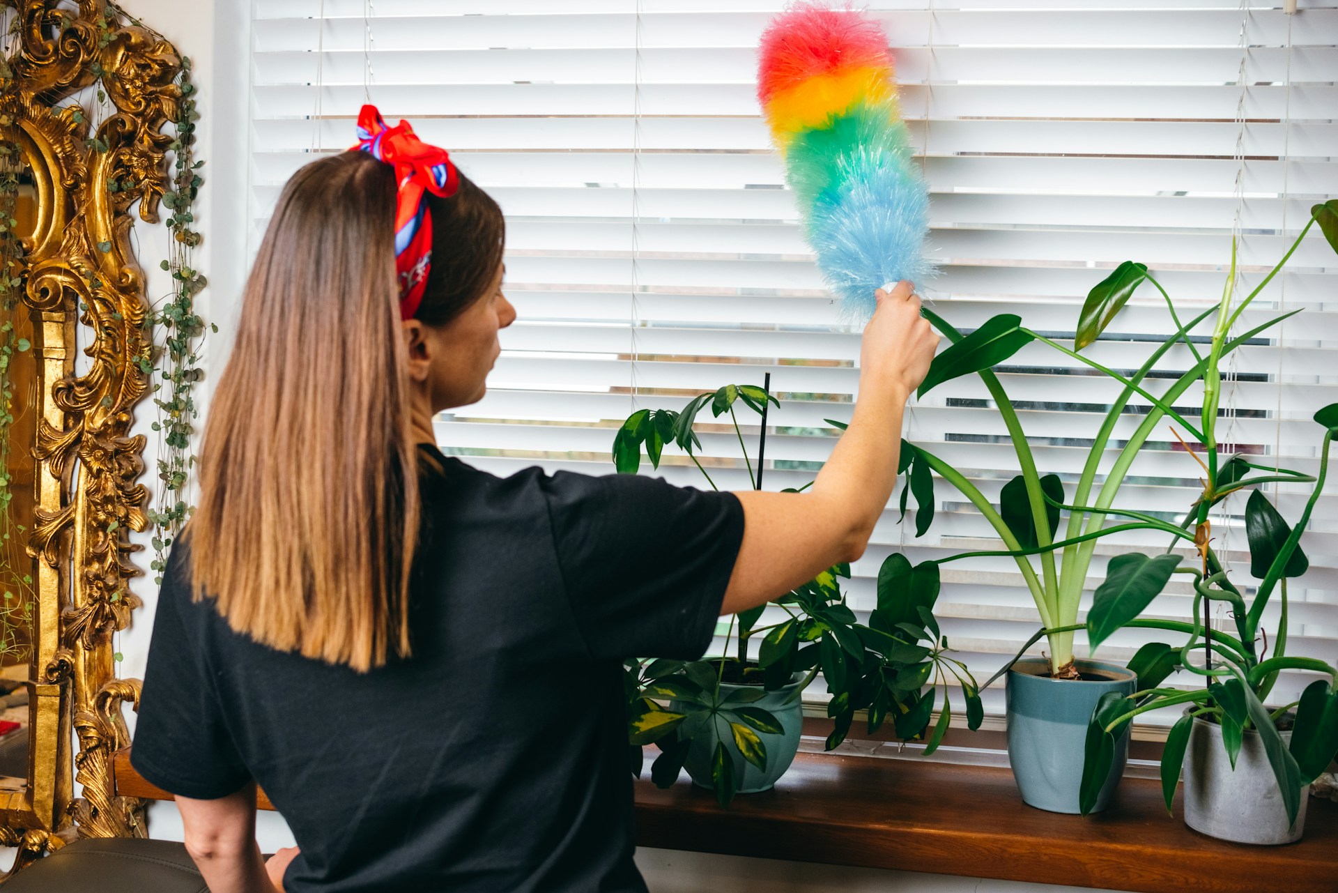 Quick Room Refresh Tips for Your Wheat Ridge Living Space