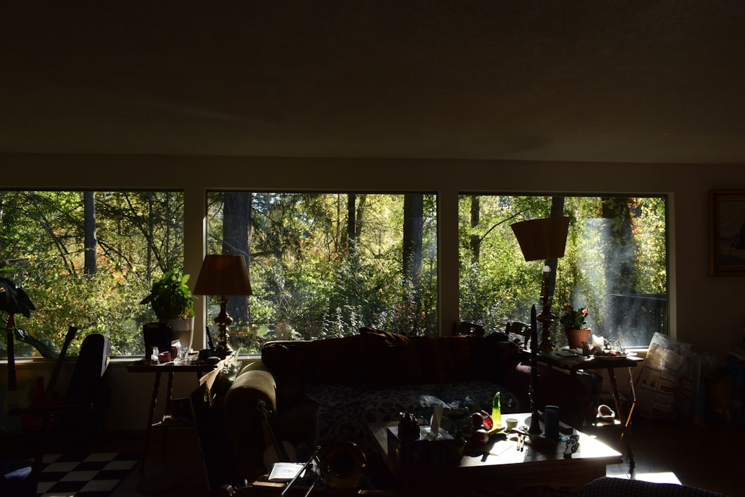 From Chaos to Calm: Why Tidying Up Is Therapy