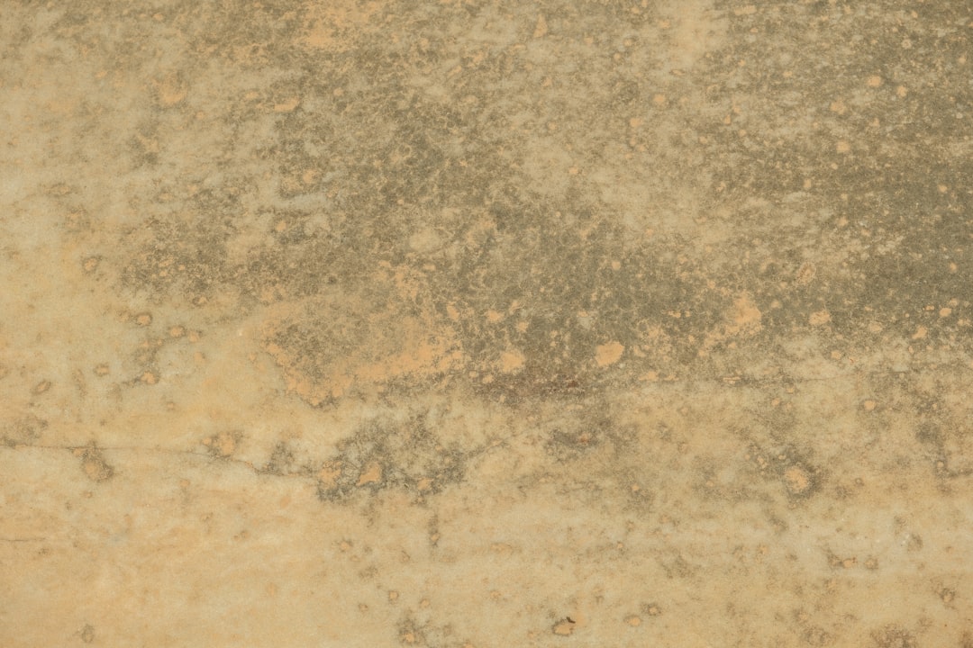 How Colorado Weather Affects Indoor Dust and Your Sanity