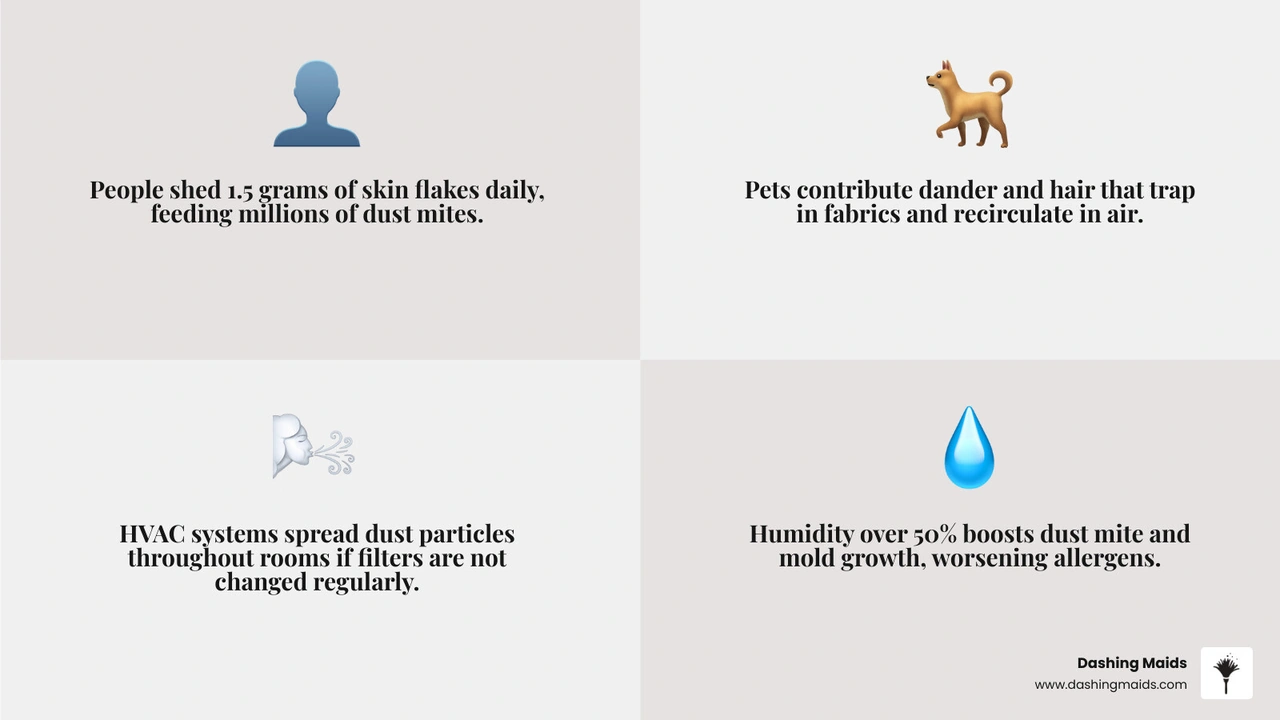 Infographic showing how dust and allergens build up in your home through key sources and cycles infographic