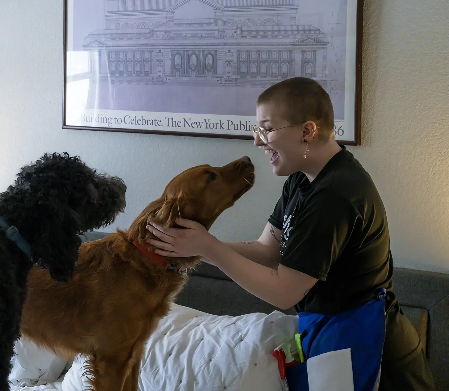The Definitive Guide to Professional Cleaning for Pet Owners