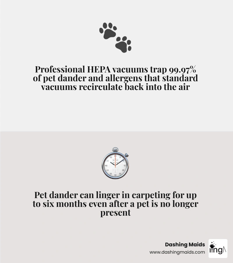 infographic showing 7 key benefits of professional cleaning for pet owners including allergen removal, odor elimination, and infographic showing 7 key benefits of professional cleaning for pet owners including allergen removal, odor elimination, and