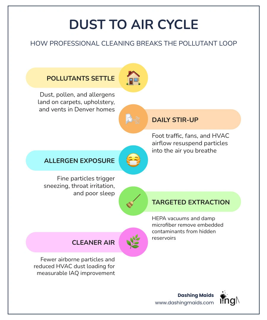 Infographic showing how surface dust in a home becomes airborne and how professional cleaning breaks the cycle infographic Infographic showing how surface dust in a home becomes airborne and how professional cleaning breaks the cycle infographic