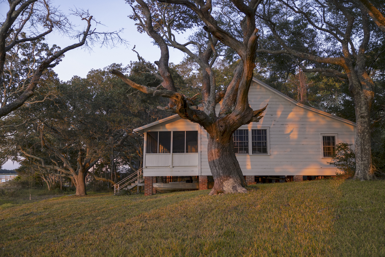 Rural Housing, Democracy, and the Fight to Stay Rooted