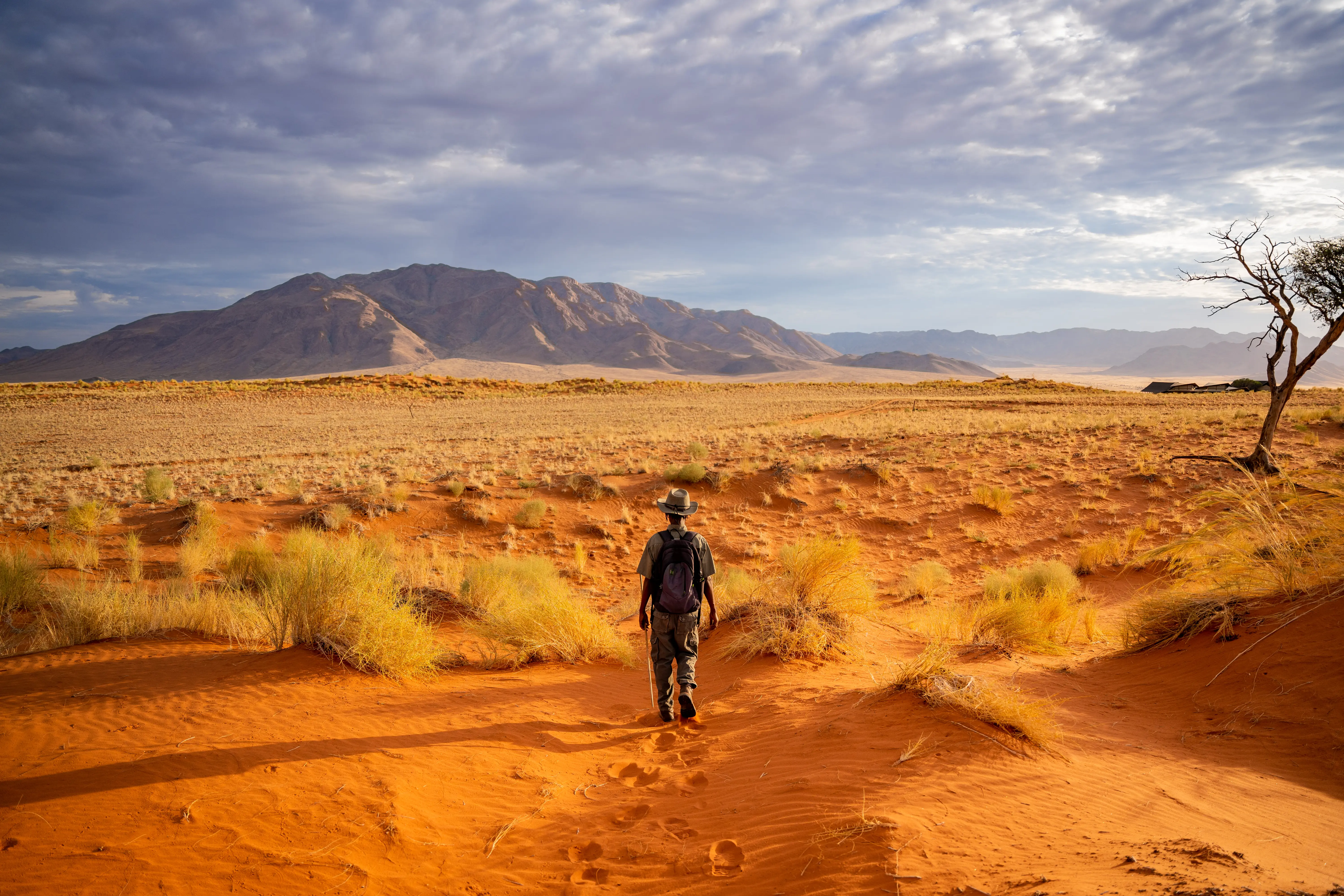 Red sand dunes of Sossusvlei in the Namib Desert, Namibia