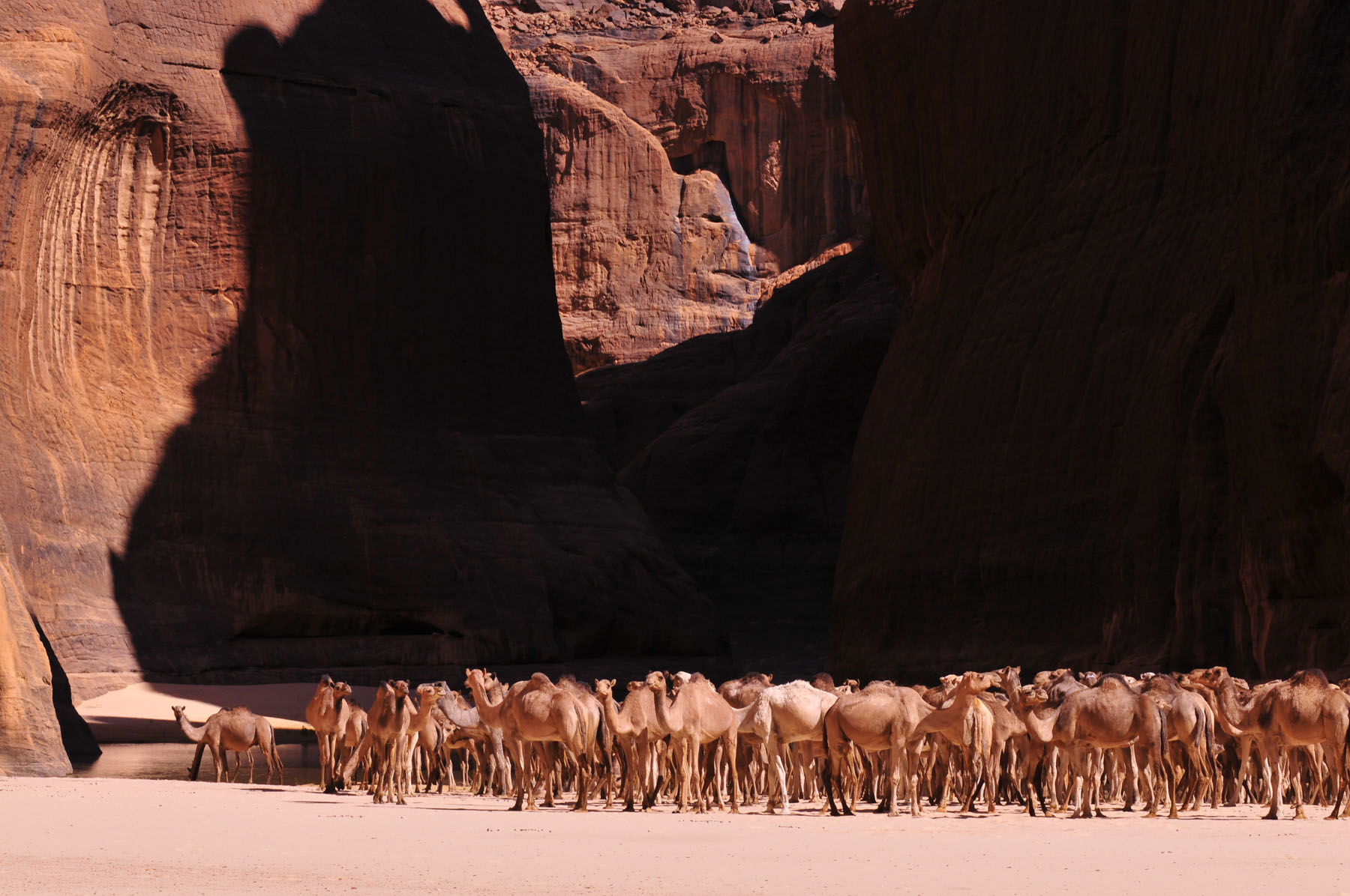 Rock formations of the Tibesti foothills, Chad
