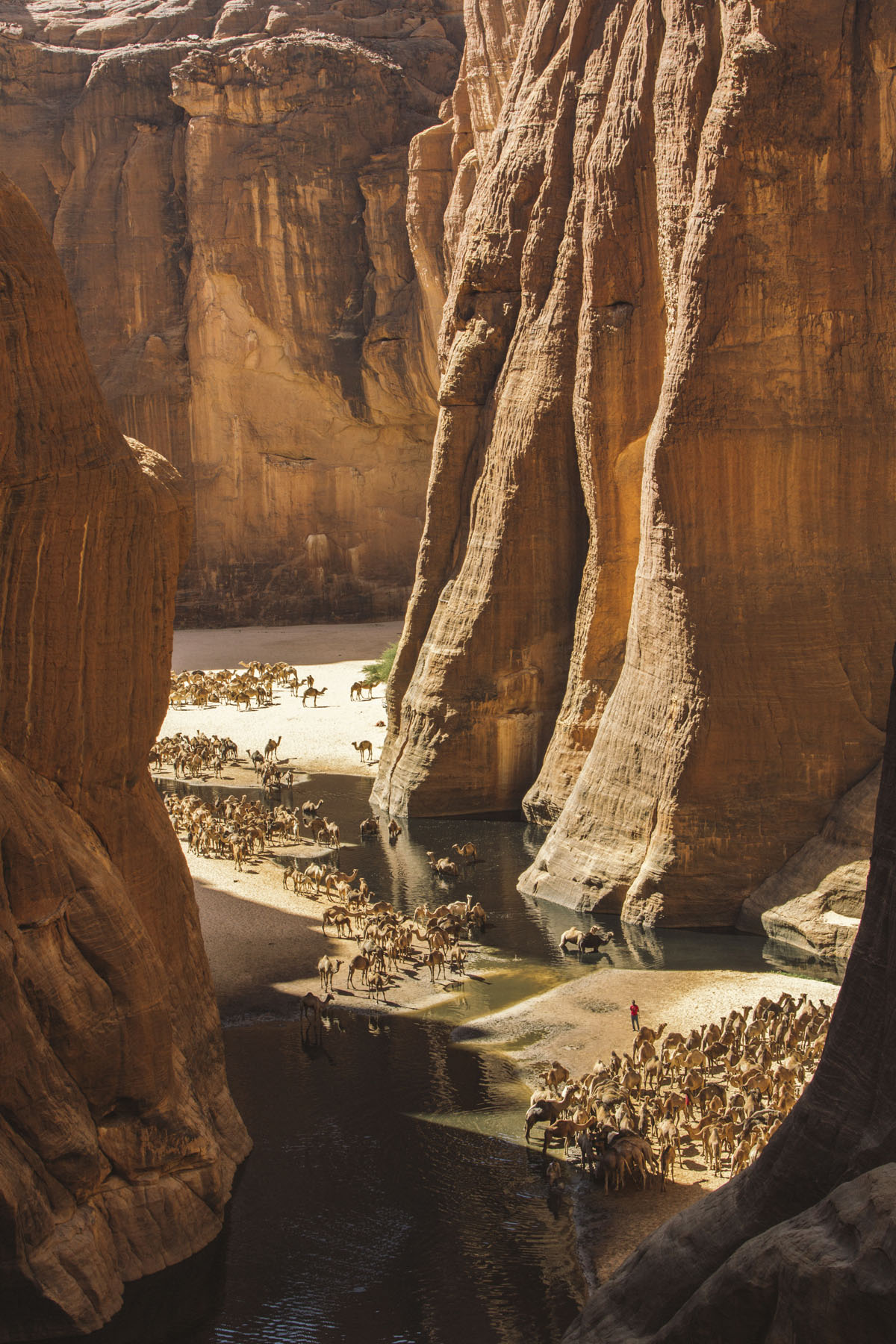 Ancient rock art painted on canyon walls, Ennedi, Chad