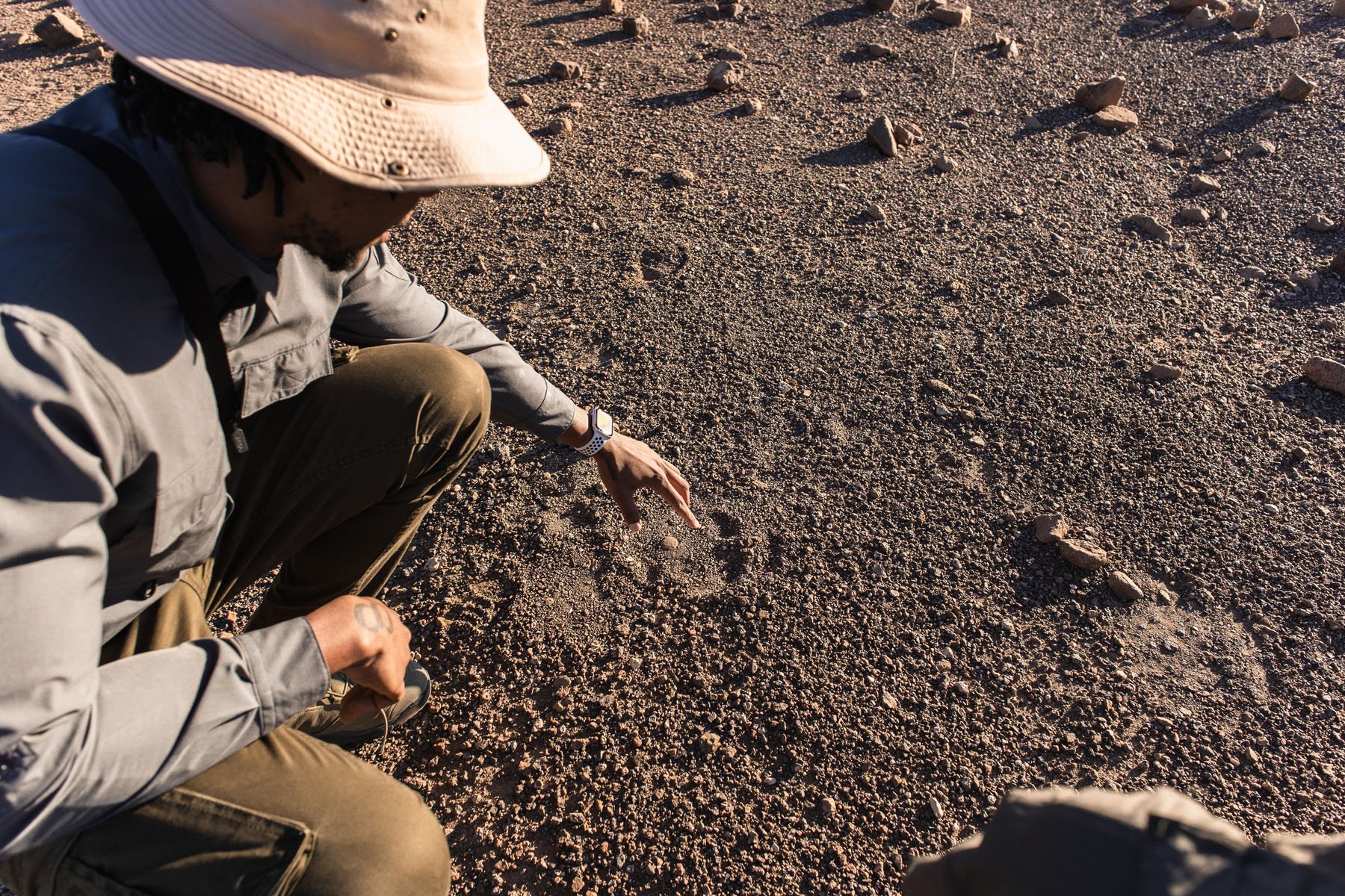 San tracker reading the desert landscape, Namibia