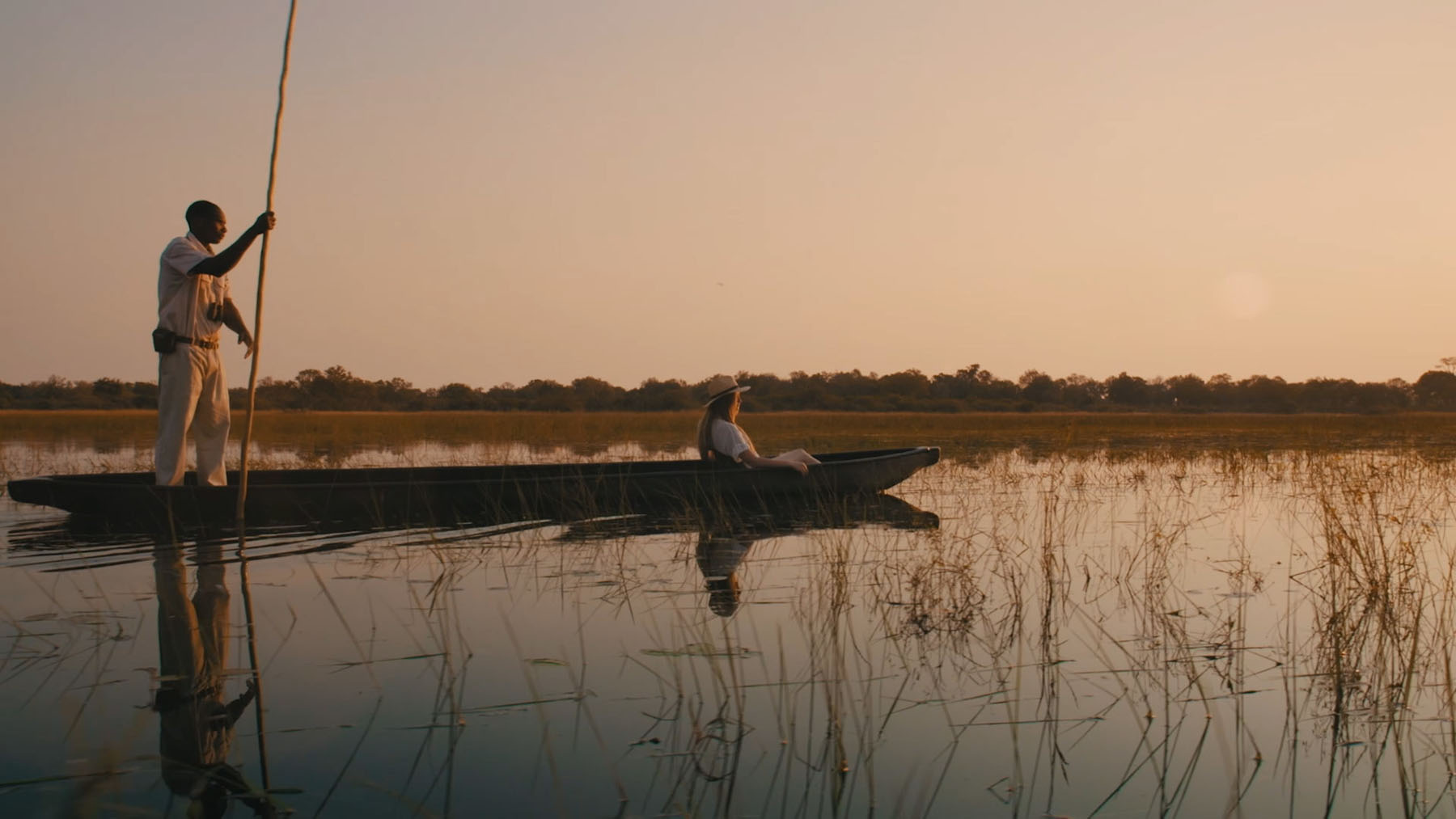 Chobe River elephants at dusk, Botswana