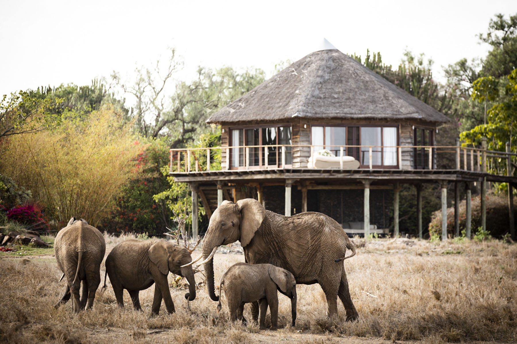 Bush breakfast on the Maasai Mara plains, Kenya