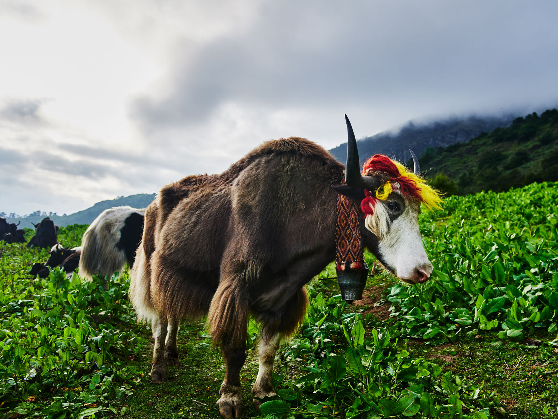 Sacred site nestled in the Bhutanese landscape