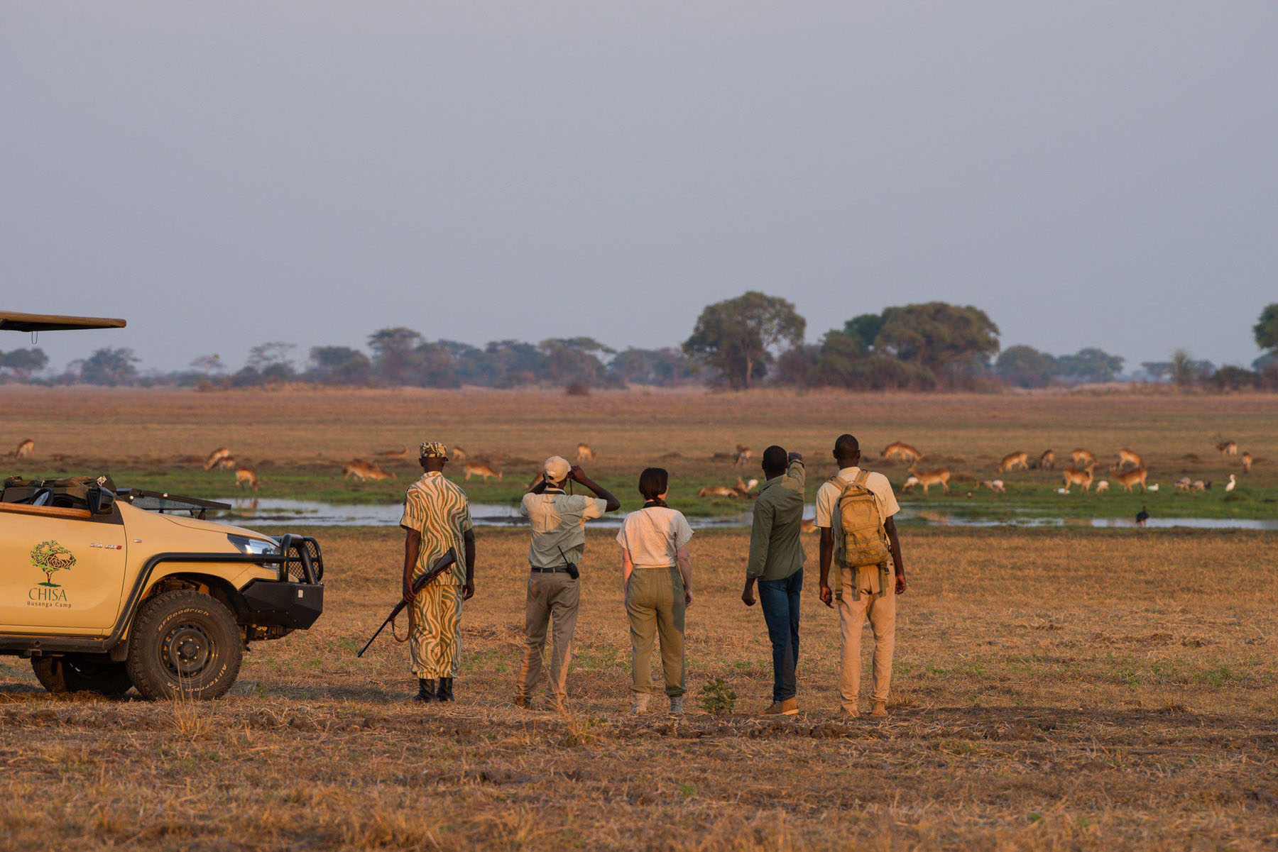 Liuwa Plain wildebeest migration, Zambia