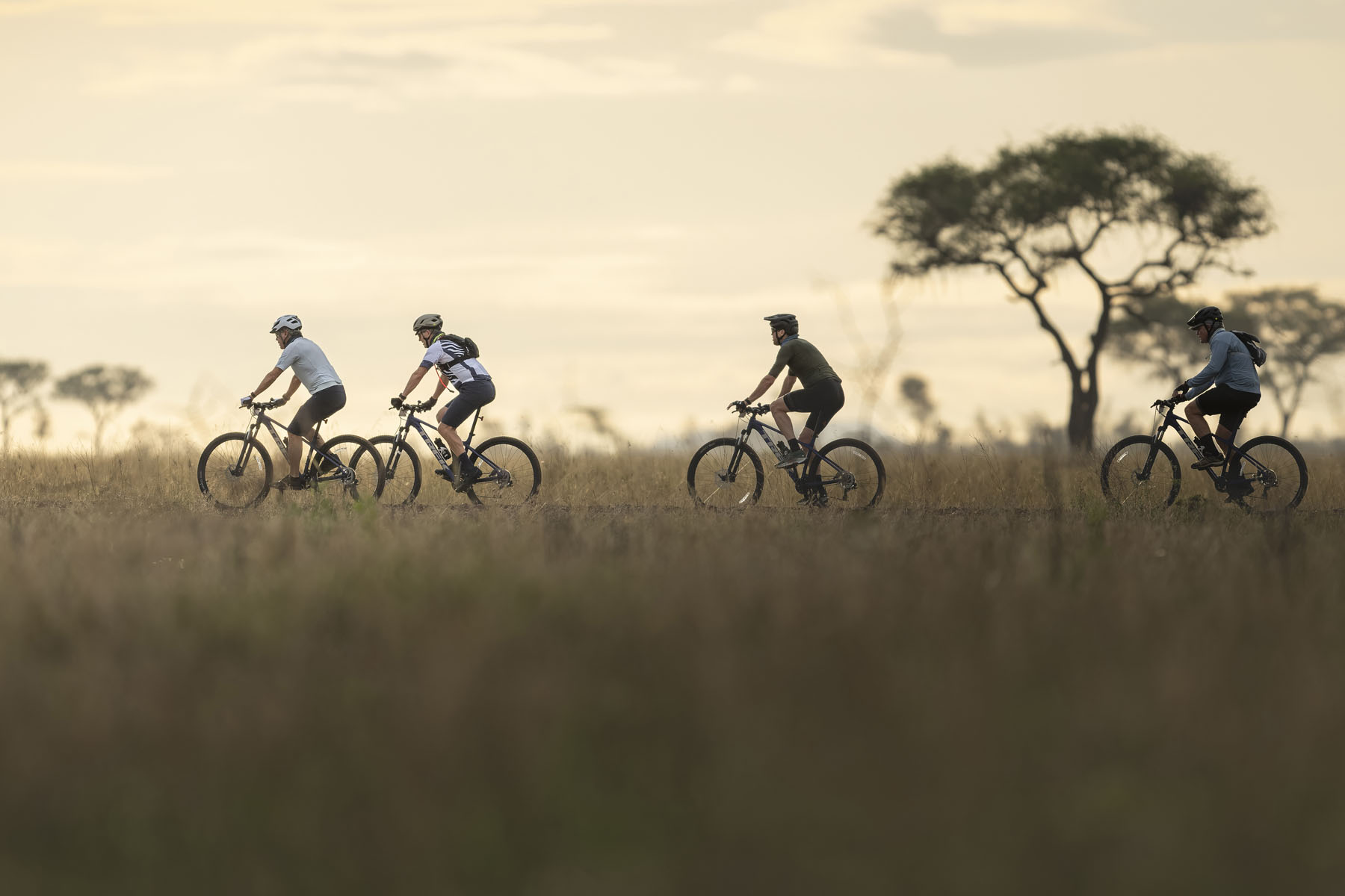 Panoramic view of the Serengeti plains, Tanzania