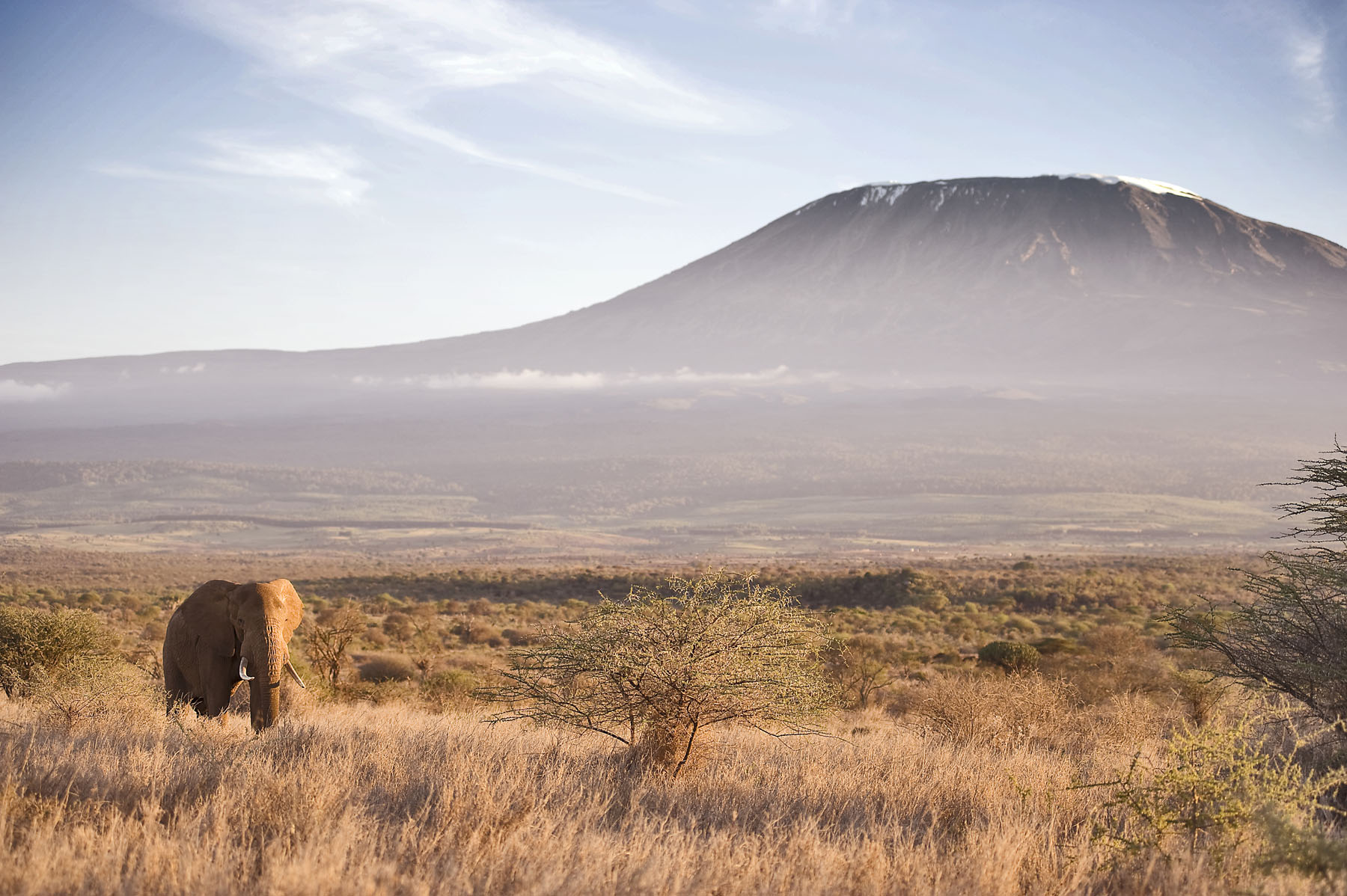 Panoramic view of the Maasai Mara plains, Kenya