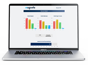Mockup de Mapping DISC - Talent Map 5D