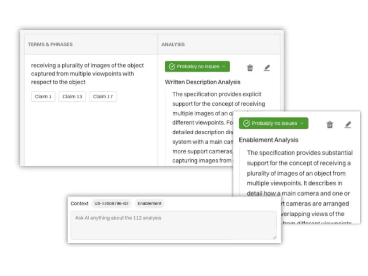 Screenshot of an analysis interface showing terms, written description, and enablement details for image viewpoints.