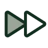fast forward icon
