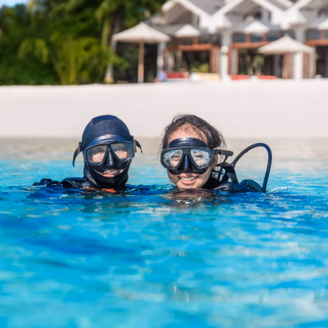 Scuba Diving - Suite X Webflow Template