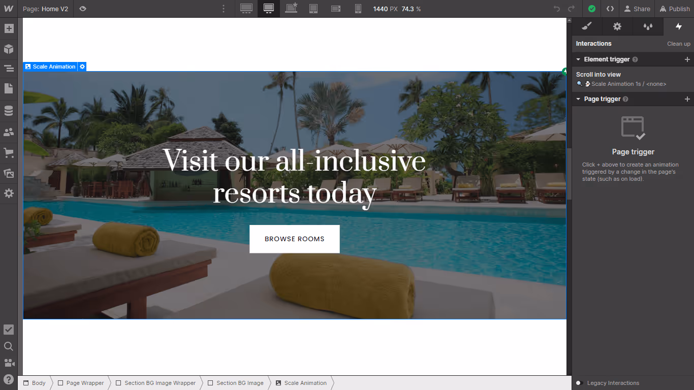 Animations - Suite X Webflow Template