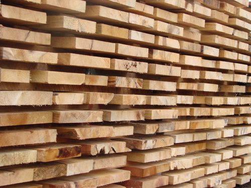 División madera Forestal Alfa