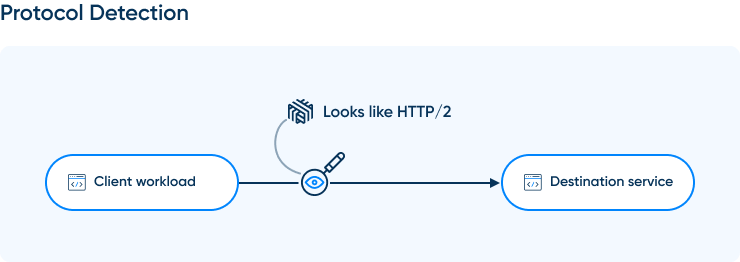 Protocol Detection