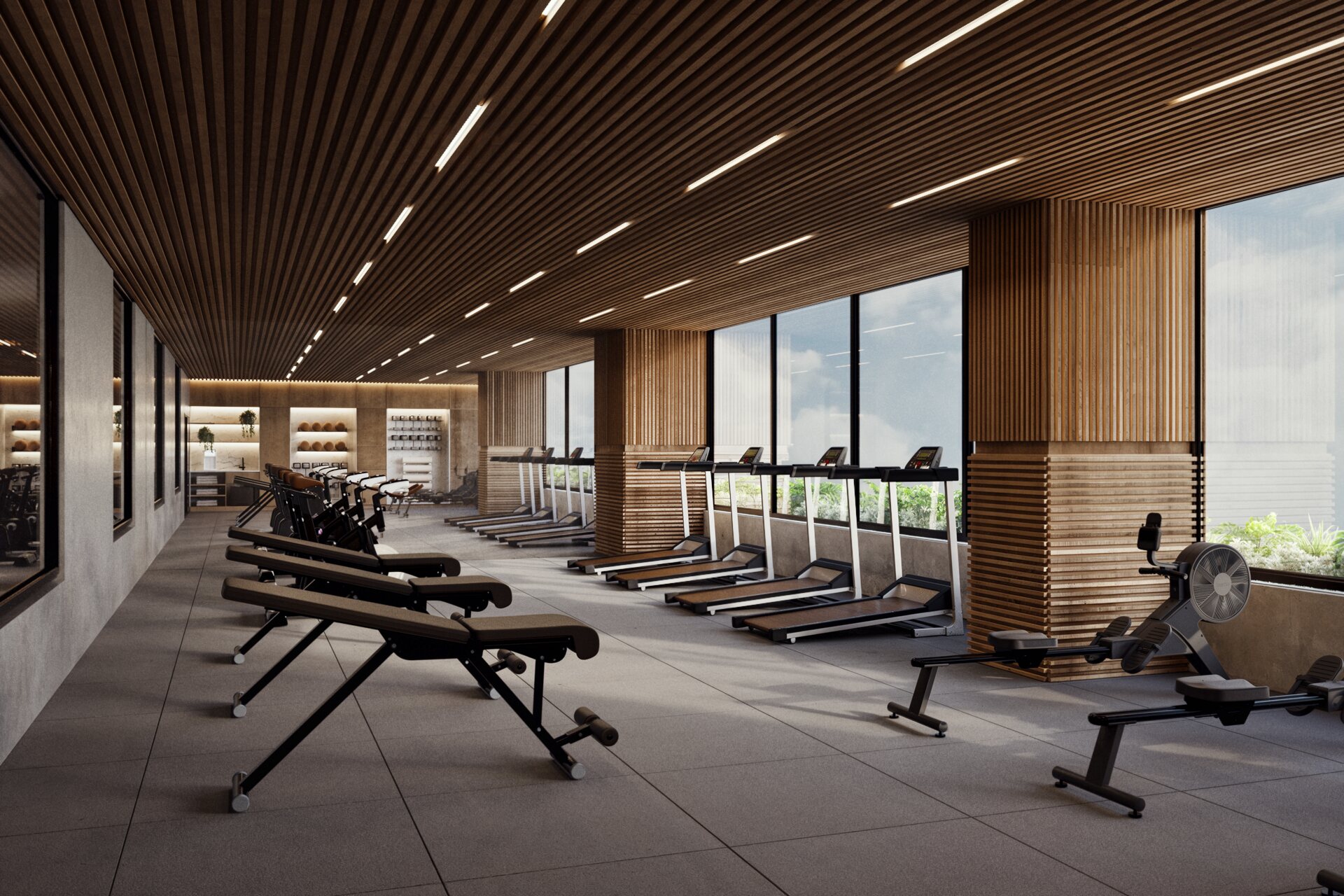 Apolo - gimnasio