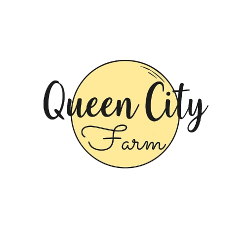 Logo with the words 'Queen City Farm' overlaid on a pale yellow circle.