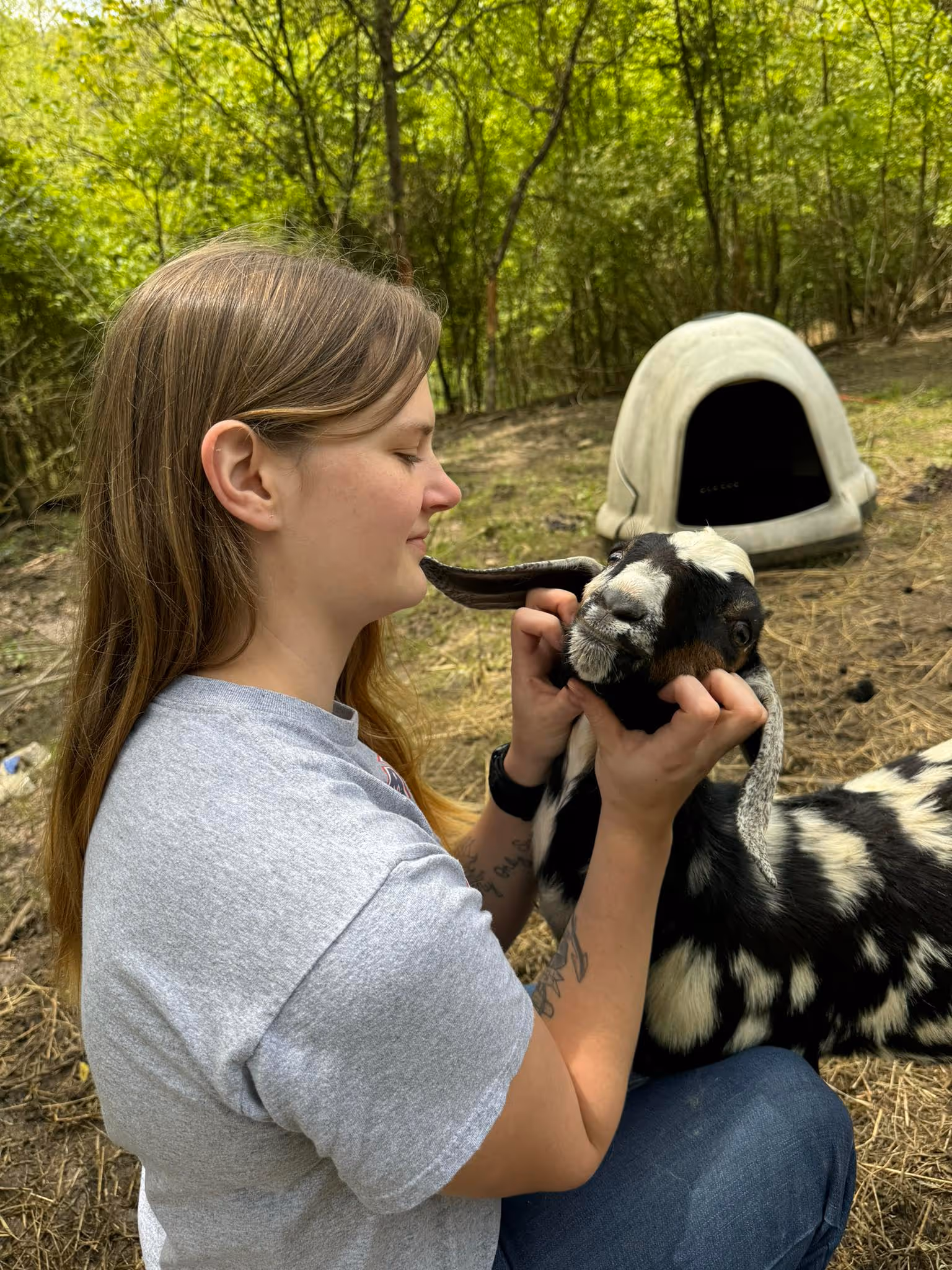 Young woman gently holding and petting a black and white goat outdoors with a small animal shelter in the background.
