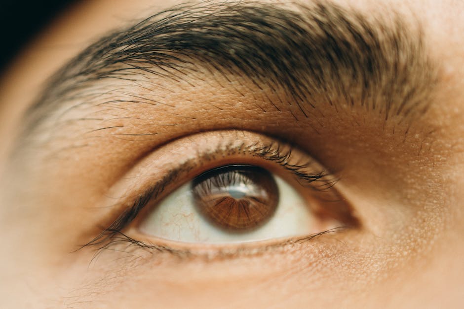 upper eyelid anatomy with labels - before and after pictures of upper eyelid surgery