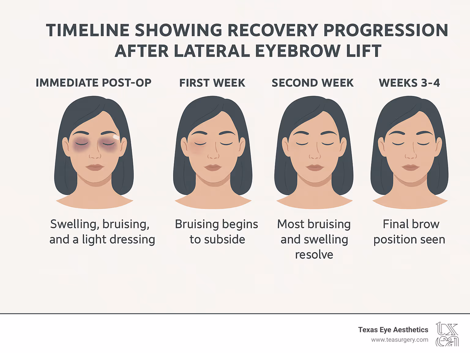 Timeline showing recovery progression after lateral eyebrow lift - lateral eyebrow lift infographic 