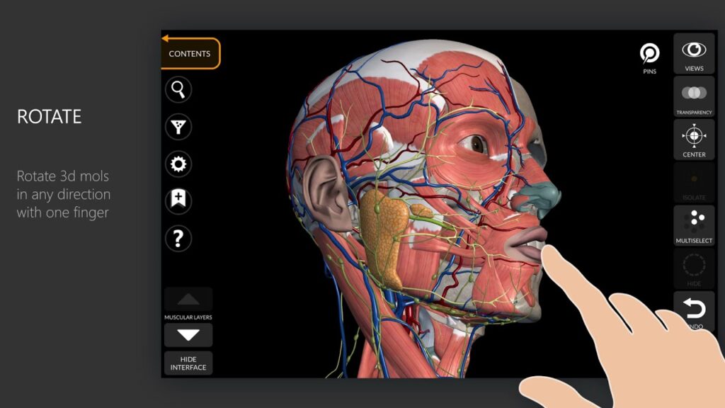 immersive interface