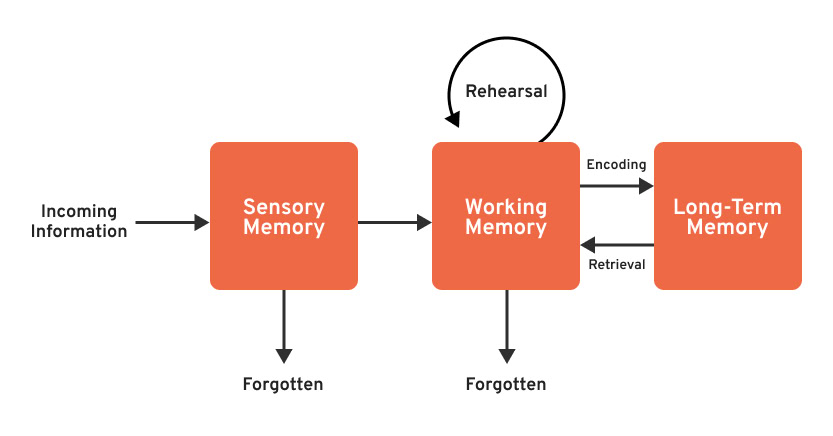 neurodesign