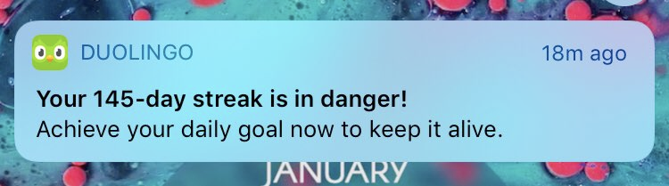 Duolingo notification warning that the user's streak is in danger.