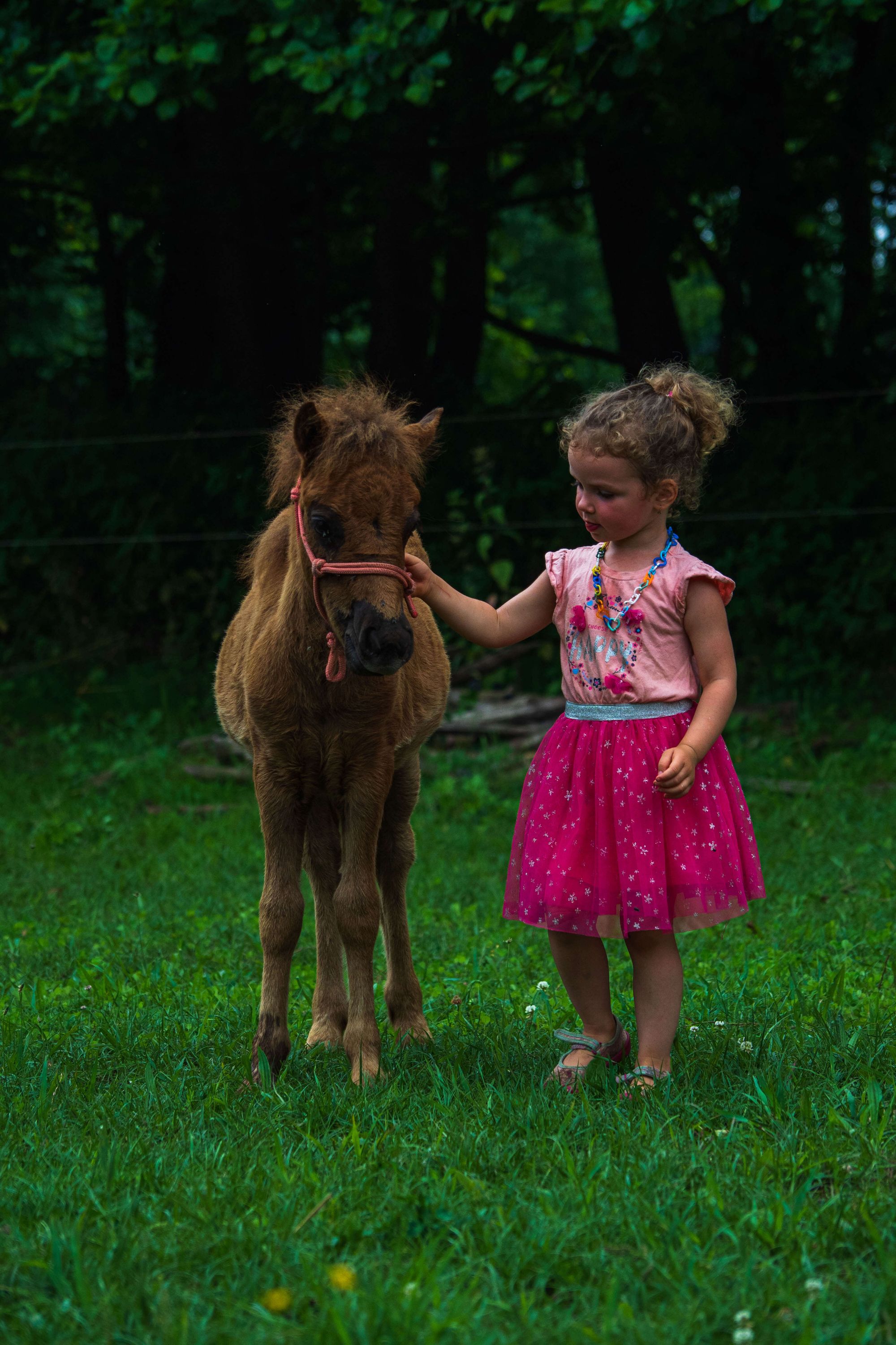 Rodinná farma s láskou k přírodě – Farma u Habriny