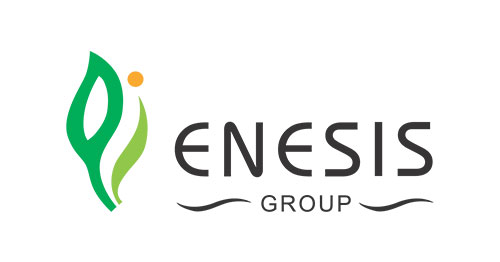 Enesis