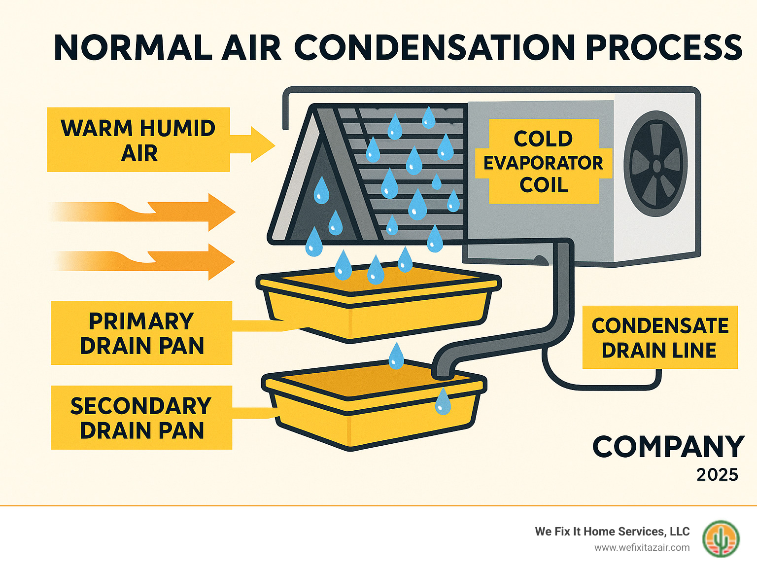 Infographic showing normal AC condensation process: warm humid air flowing over cold evaporator coil creating water droplets, condensation collecting in primary drain pan, water flowing through condensate drain line to outside, with backup secondary drain pan for overflow protection - AC unit leaking infographic 