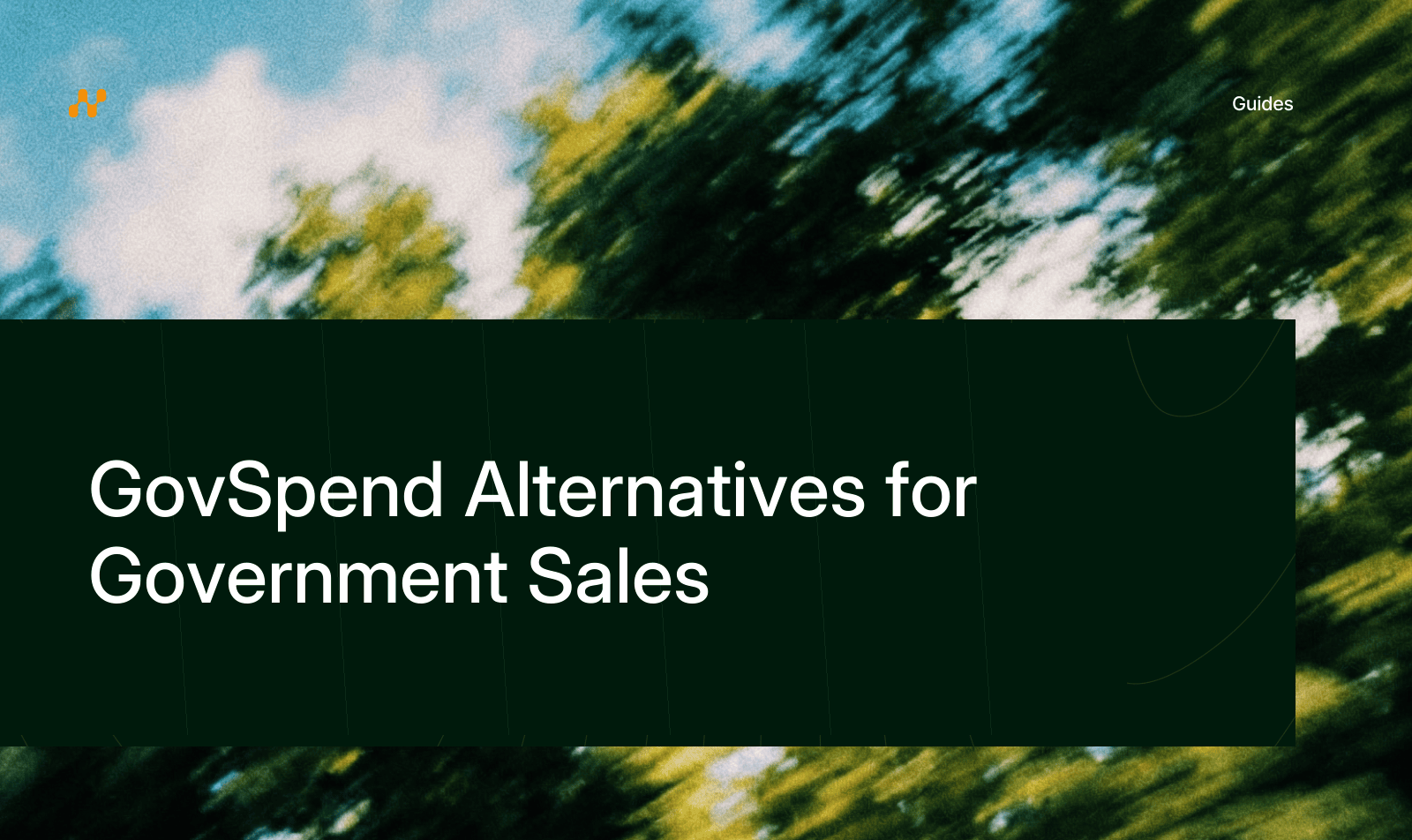 GovSpend Alternatives for Government Sales