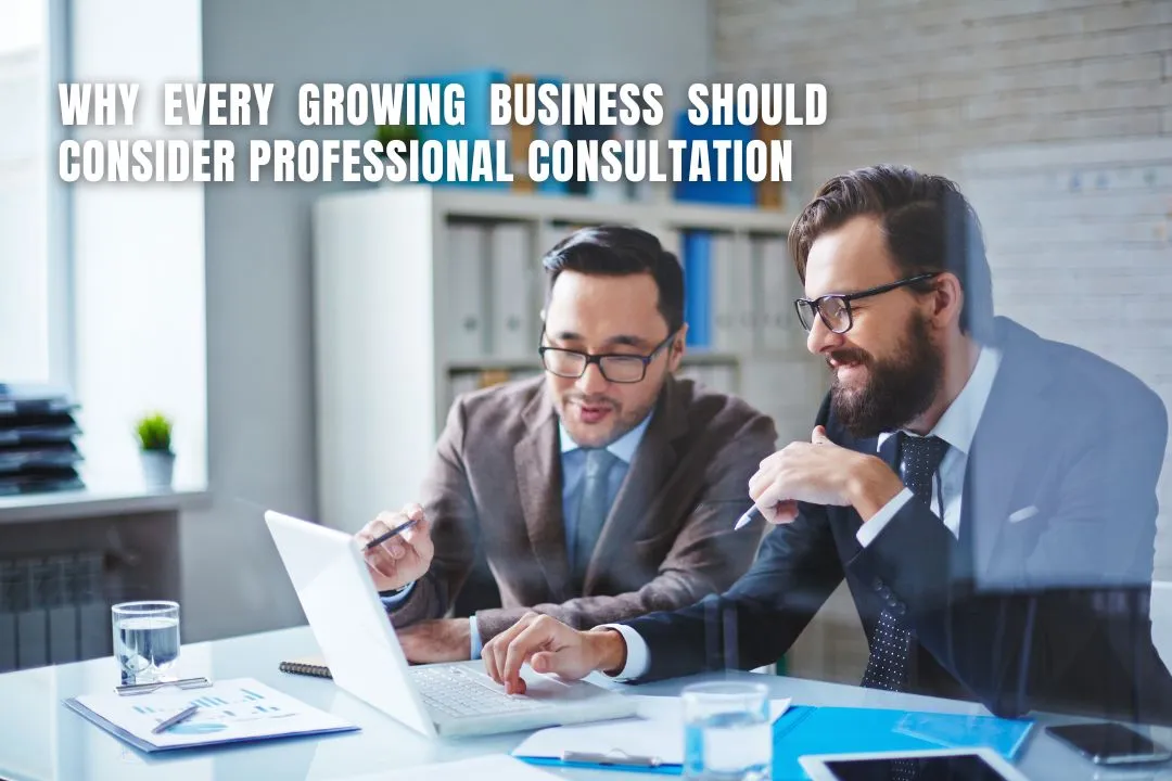 Why Every Growing Business Should Consider Professional Consultation
