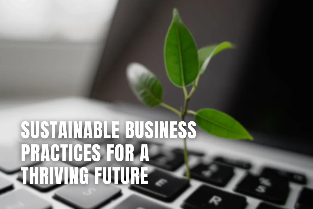Sustainable Business Practices for a Thriving Future