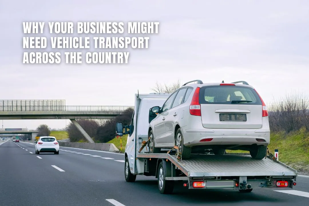 Why Your Business Might Need Vehicle Transport Across the Country