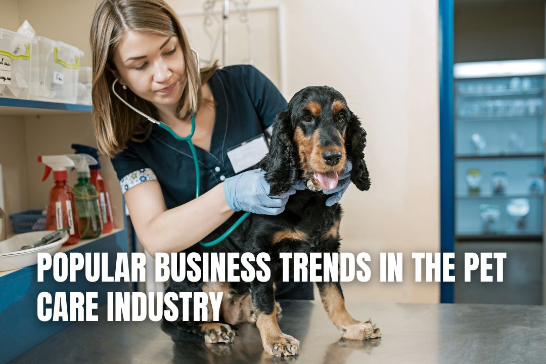 Popular Business Trends in the Pet Care Industry