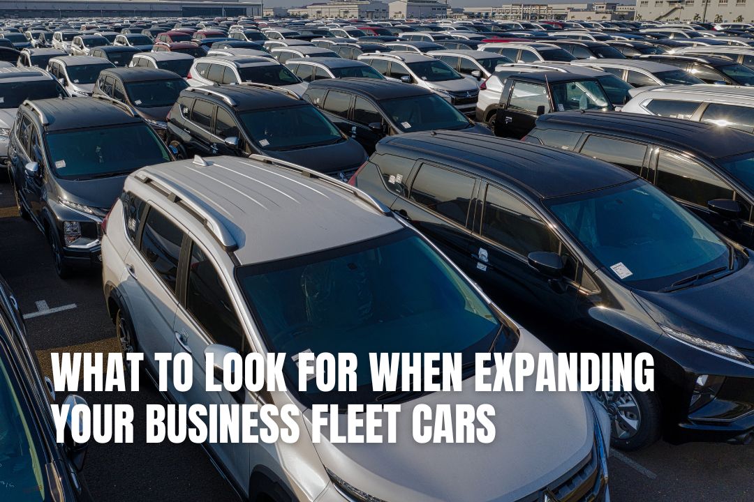What To Look For When Expanding Your Business Fleet Cars